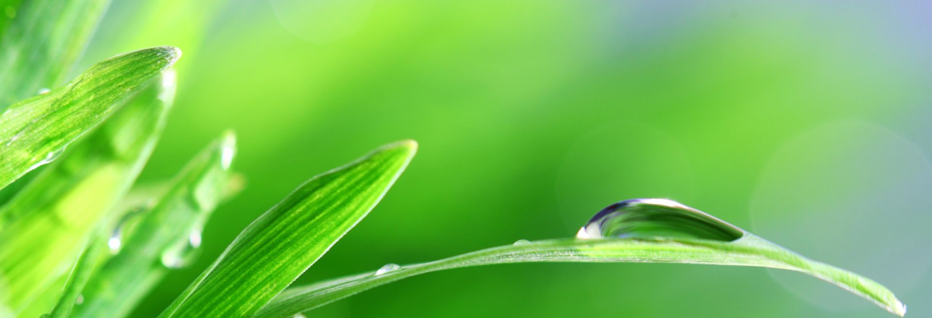 Learn About NH Hydroseed What Makes Us Different?